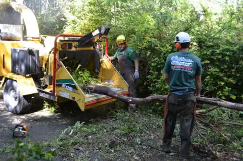 tree services Hunters Creek